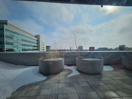 For Lease - 60 Frederick Street Unit# 3413, Kitchener, Ontario - Photo 3