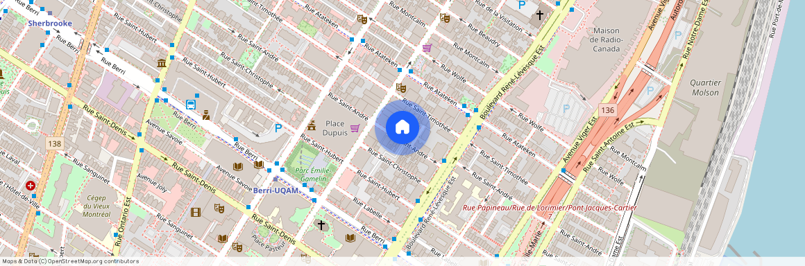 Nouveauté, 1265 Rue St-André, app. 001, Montréal (Ville-Marie), H3L3T1