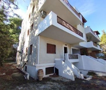 Μονοκατοικία για ενοικίαση - Δροσιά, - Photo 4
