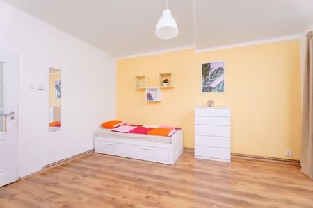 Pronájem pokoje ve sdíleném bytě 2+1 Praha 4 ulice Na Jezerce blízko centra - Fotografie 2
