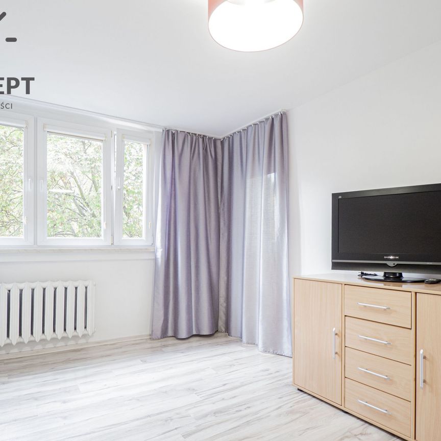 3-pok | pełen rozkład | Piwnica | Krzyki - Фото 1