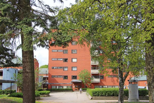 Plangatan 6 - Foto 1