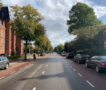 Berg en Dalseweg - Photo 1