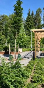 Bruno Liljeforsgatan 74 B, 75429, Uppsala - Foto 3