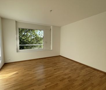 Modern und Zentral: 4.5 Zimmer-Wohnung im Grünen - Photo 2