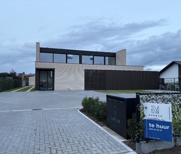 Wielsbekestraat 65, 8780 Oostrozebeke - Photo 4