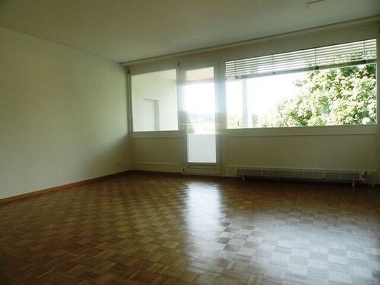 Your new dream home in Bern - Photo 1