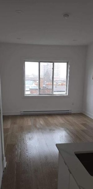 1 CH - 1 SDB - Montréal - $1,190 /mo - Photo 1