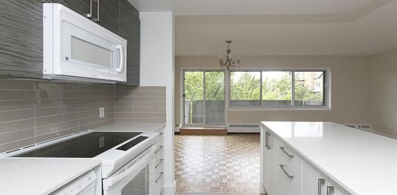 Studio - 50 Avenue Willowdale, Montréal - Photo 2