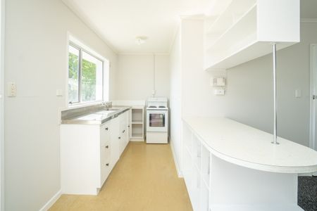 Four Bedroom on Seddon! - Photo 2