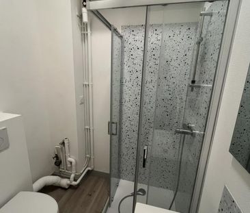 Location Appartement 1 pièce Meublé 16m² ANGERS 49000 - Photo 6
