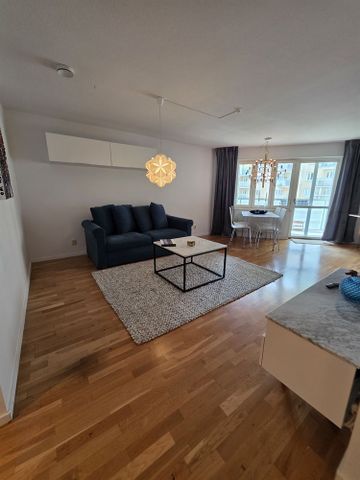 Adler Salvius gata - Photo 2