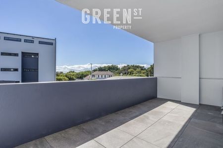 201/11 Fern Street, Islington NSW 2296 - Photo 3