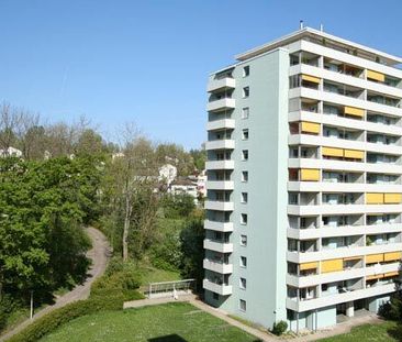 Generous apartment in a quiet residential area – on the Hönggerberg - Foto 4