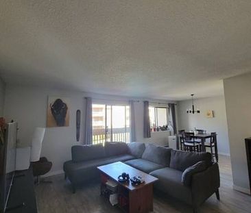 1 bedroom apartment - Photo 2