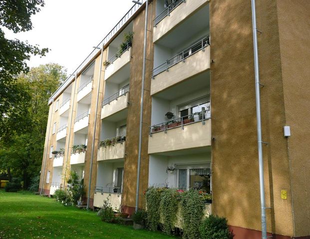Helle, freundliche 1-Zimmer-Wohnung, Ruhiglage BN-Oberkassel - Photo 1