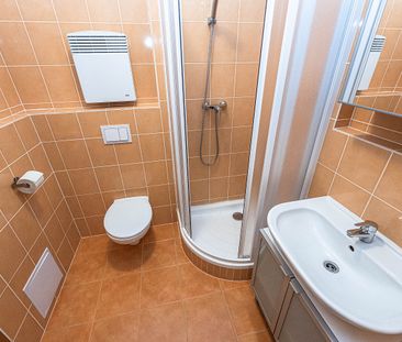 Pronájem bytu 1+kk 26 m² - Photo 4