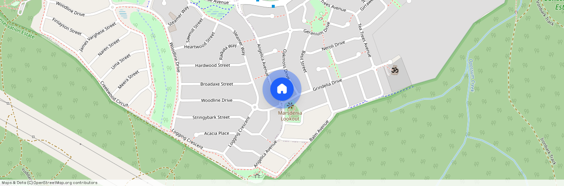 48 Angelica Avenue, Qld 4300, Springfield Lakes