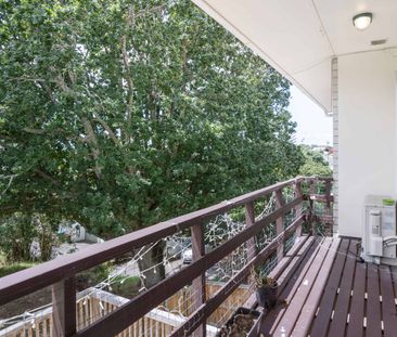 Spacious Townhouse with Bonus Rumpus Room & Multiple Outdoor Areas - Photo 4