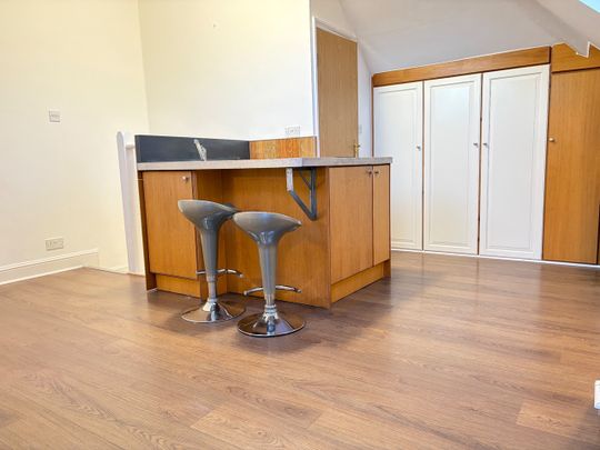 Studio Flat, Very Near Gunnersbury Gardens Area, W3 - Photo 1