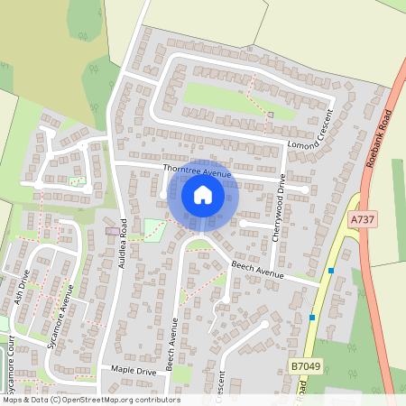 Cypress Avenue, Beith