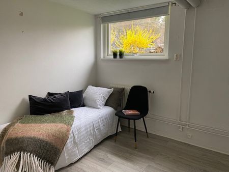 Stjärngatan, Uddevalla - Foto 3