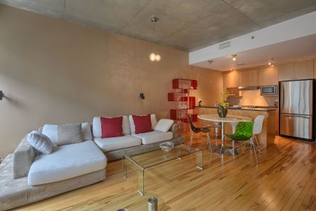 Condo for rent, Montréal (Ville-Marie) - Photo 3