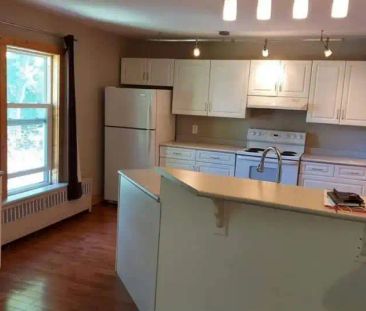 124 Machray Ave — 124 Machray Ave - Photo 5