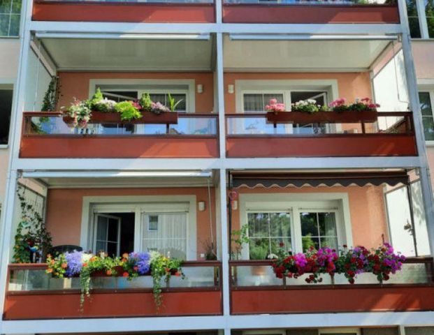 3-Raum-Wohnung im Erdgeschoss in Borna-Heinersdorf - Photo 1