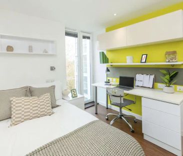 Standard Ground Floor - Photo 6