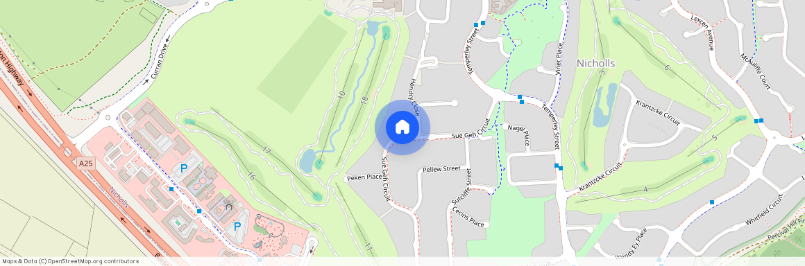 81 Sue Geh Circuit, Nicholls ACT