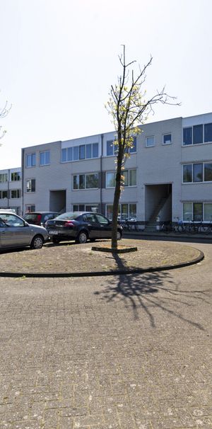 Molenslag, 71 - Foto 1