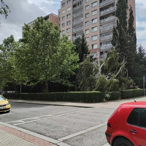 Pronájem bytu 2kk,42 m - Photo 1