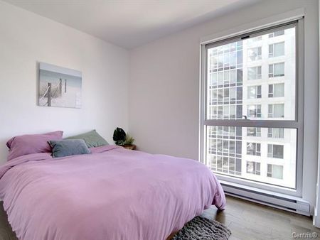 Appartement à louer - Montréal (Le Sud-Ouest) (Griffintown) - Photo 4