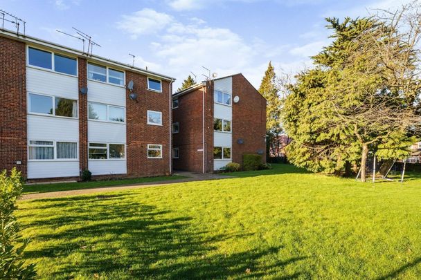Cedar Court - Photo 1