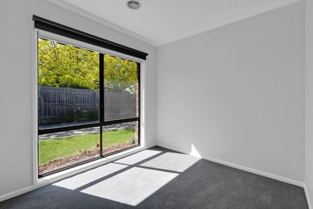 Amazing Amber! - Photo 2