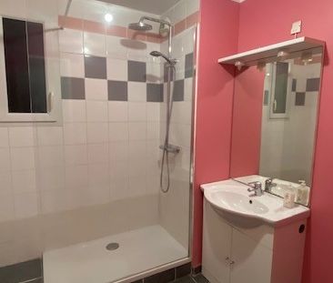 Location Appartement 3 pièces 58m² SALLAUMINES 62430 - Photo 3