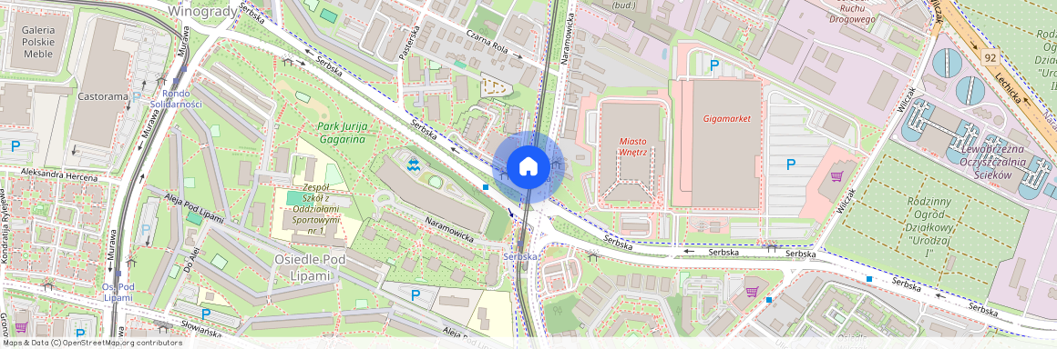 Serbska - Nowych Kosmonautów, Winogrady, Stare Miasto, Poznań, wielkopolskie