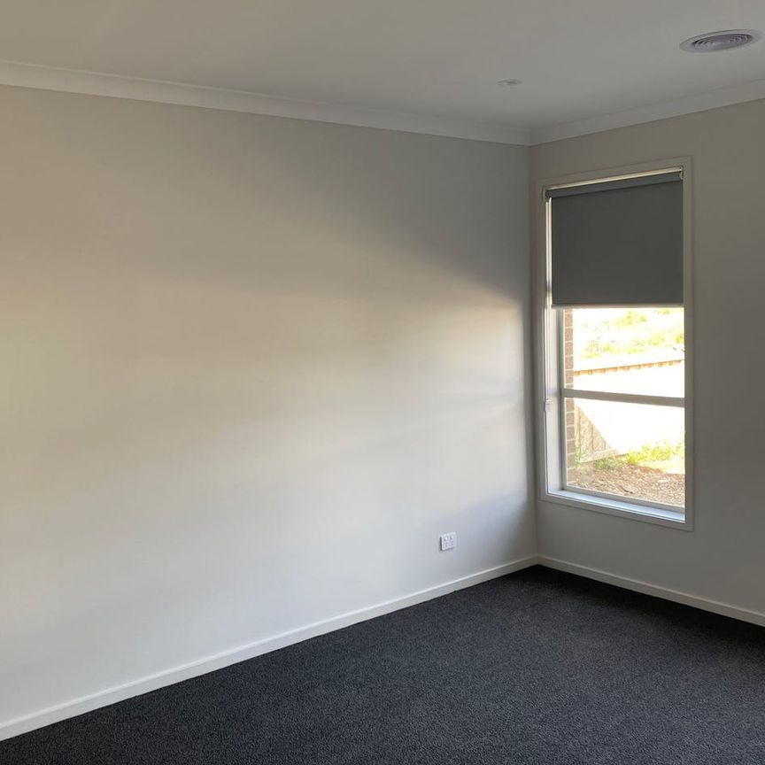 Light-filled, Four Bedroom Home in sought-after Torquay - Photo 1