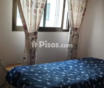 Apartamento en alquiler en Calle de Argentina, 20 - Foto 6