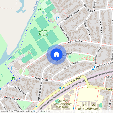 36 Cammarlie Street, 2213, Panania Nsw