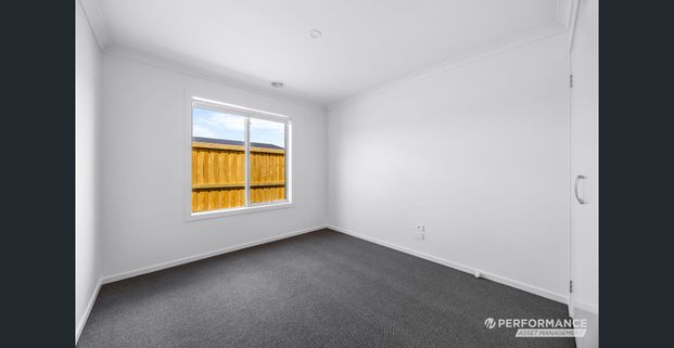 All New Contemporary Lifestyle Bliss Close to Park - Photo 1