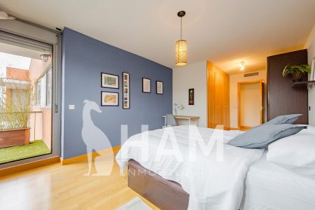 Habitación - Paracuellos de Jarama - Miramadrid - 595€ MES - Ref. GPPC0056 - Photo 3