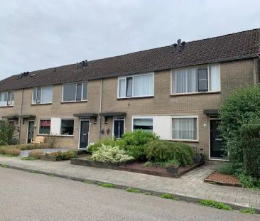 Maison d'angle Goudenregenstraat 2, Borculo - À louer - Photo 1