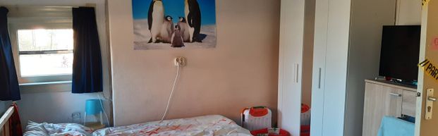 Borstelhuis - Photo 1