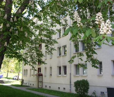 Gemütliche Singlewohnung im Grünen - Foto 1