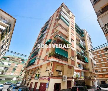 Orihuela - Foto 2