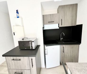 Location Appartement 1 pièce 17m² - Photo 4