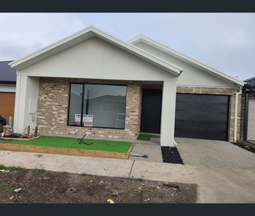 17 Mulholland Street, Kalkallo, Vic 3064 - Photo 4