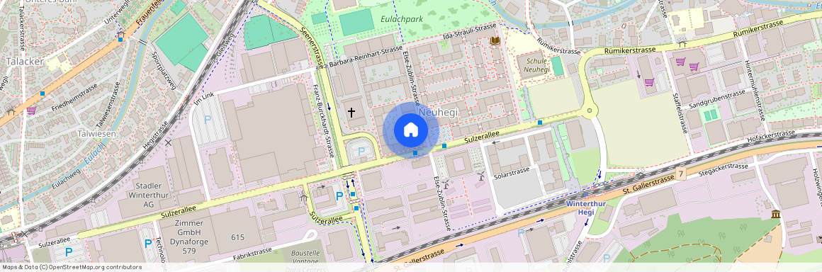 Else - Züblin - str. 85h, 8404, Winterthur